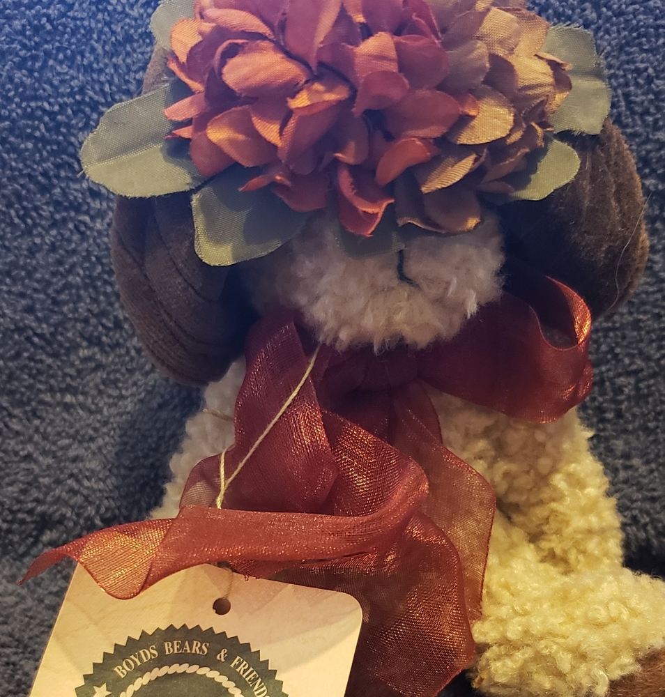 Boyd's bear